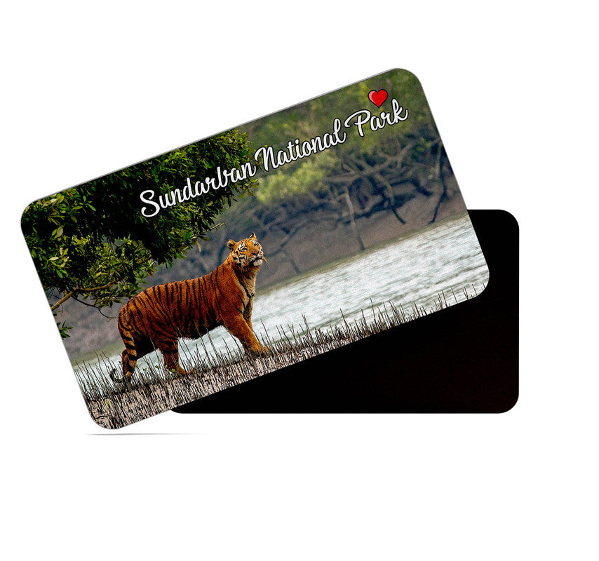dhcrafts Rectangular Rubber Fridge Magnet / Magnetic Card Multicolor Sundarban National Park West Bengal Design Pack of 1 (8.6cm x 5.4cm)